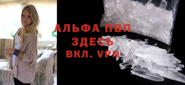 стаф Богородицк