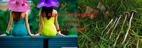 стаф Богородицк