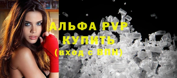 стаф Богородицк