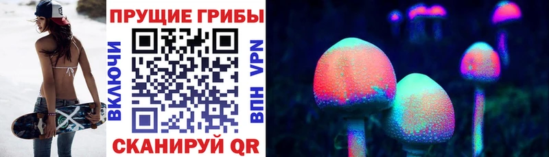 Псилоцибиновые грибы мицелий  Каспийск 
